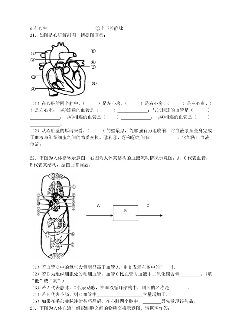 4.9.1血液循环同步练习.doc_第3页