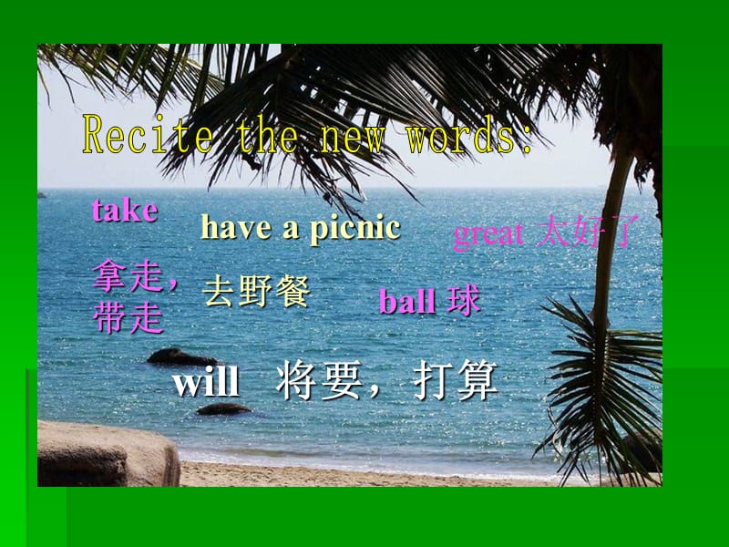 Will_you_take_your_kite.ppt_第2页