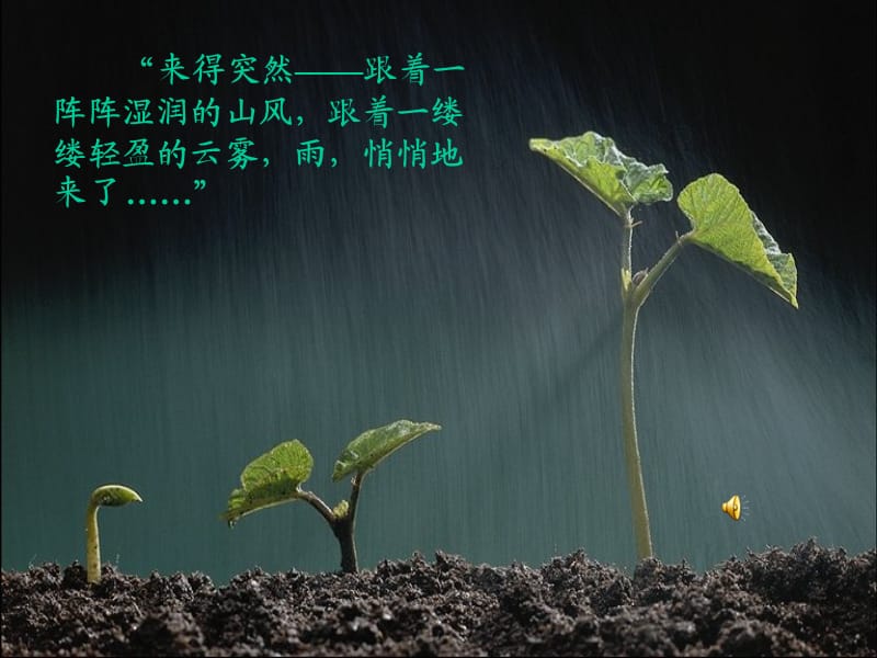 山雨(李天婕）.ppt_第3页