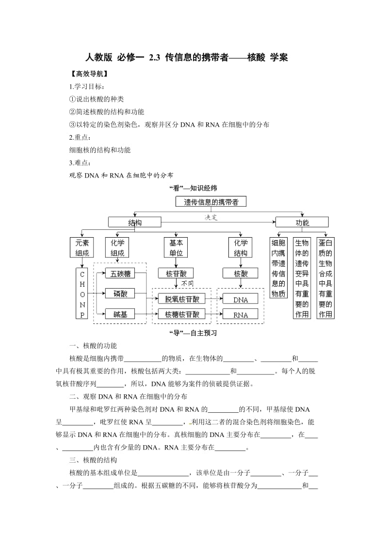 人教版 必修一 2.3 传信息的携带者——核酸 学案.doc_第1页