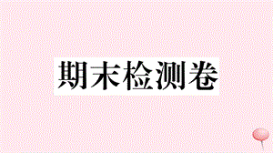 （安徽专版）2019秋九年级历史上册 期末检测卷课件 新人教版.ppt