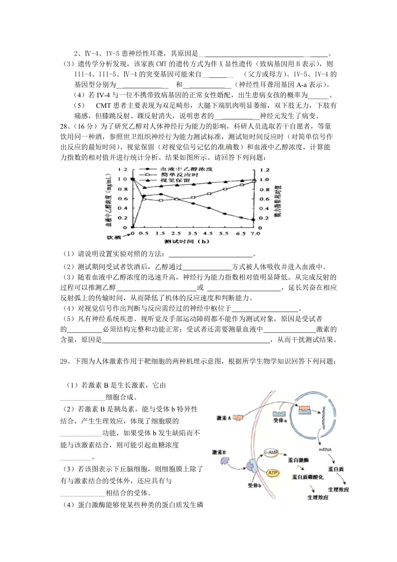 英德市一中高三生物第11周限时训练.doc_第2页