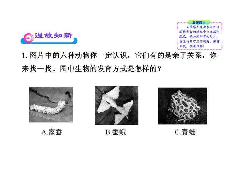 动物的生殖和发育（二）（北师大版八年级上）.ppt_第2页