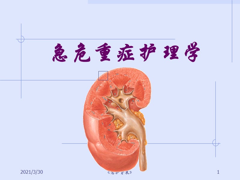 《急护肾衰》课件.ppt_第1页