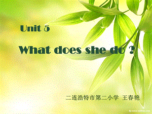 Unit5Whatdoesshedo(六年级）.ppt