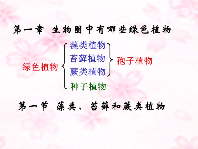 七上三单一章一节藻类、苔藓和蕨类植物.ppt_第2页