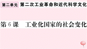 （安徽专版）九年级历史下册 第二单元 第二次工业革命和近代科学文化 第6课 工业化国家的社会变化习题课件 新人教版.ppt