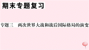 （安徽专版）九年级历史下册 期末专题复习三 两次世界大战和战后世界格局的演变习题课件 新人教版.ppt