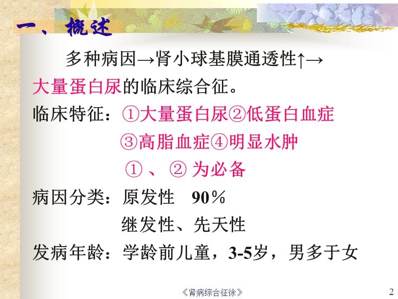 《肾病综合征徐》课件.ppt_第2页