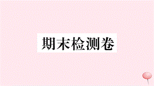 （安徽专版）九年级历史下册 期末检测卷课件 新人教版.ppt