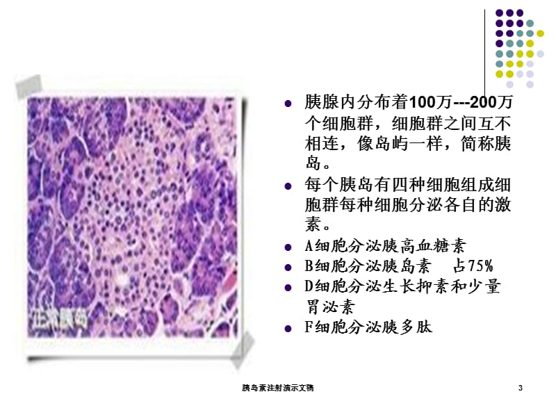 胰岛素注射演示文稿课件.ppt_第3页