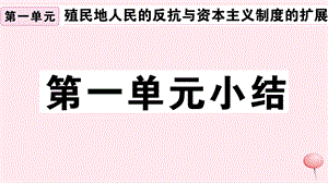 （安徽专版）九年级历史下册 第一单元 殖民地人民的反抗与资本主义制度的扩展小结习题课件 新人教版.ppt