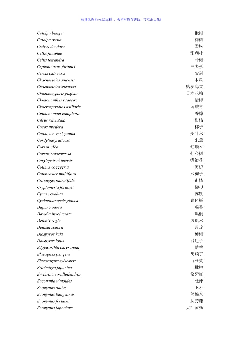 常见树木拉丁学名Word版.doc_第2页