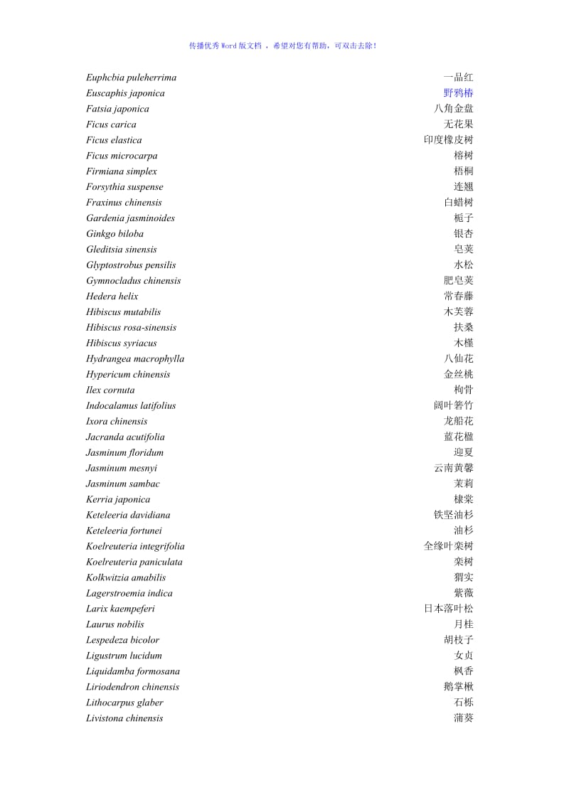 常见树木拉丁学名Word版.doc_第3页