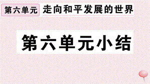 （安徽专版）九年级历史下册 第六单元 走向和平发展的世界小结习题课件 新人教版.ppt