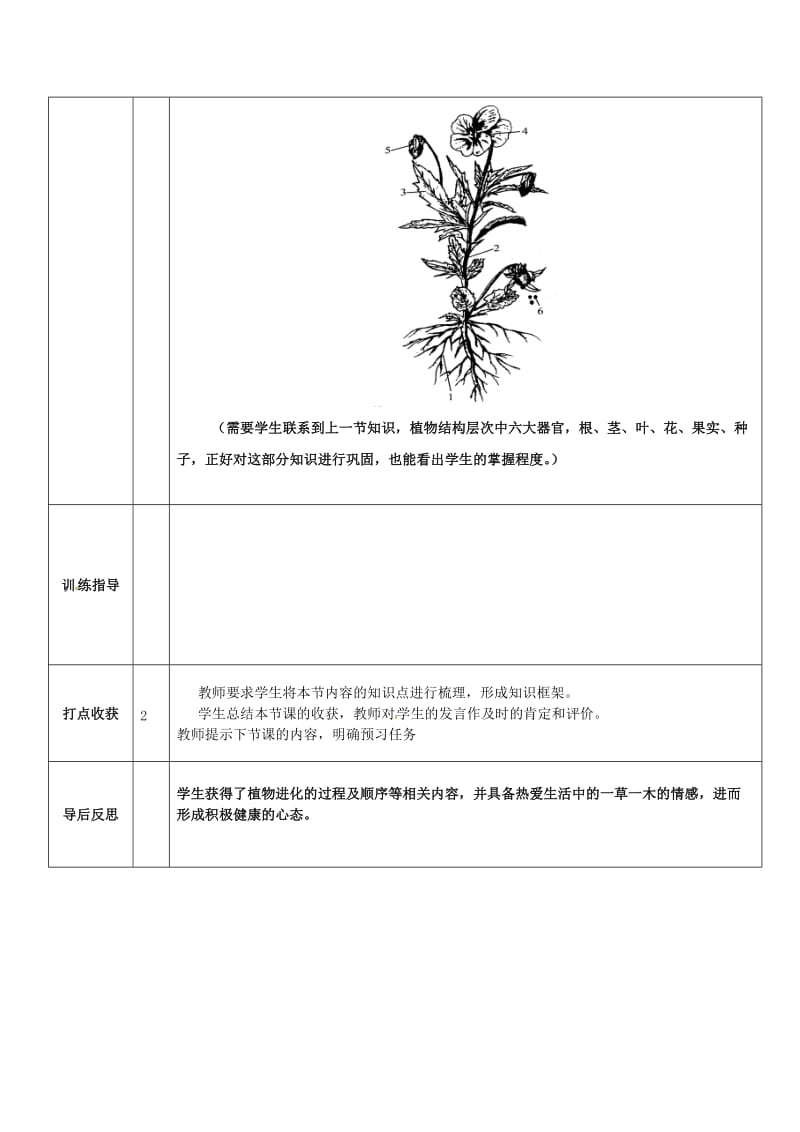 [精选类]山东省济阳县竞业园学校七年级生物上册 2.1.1 绿色植物的主要类群（问题生成课）导学案（无答案）（新版）济南版.doc_第3页