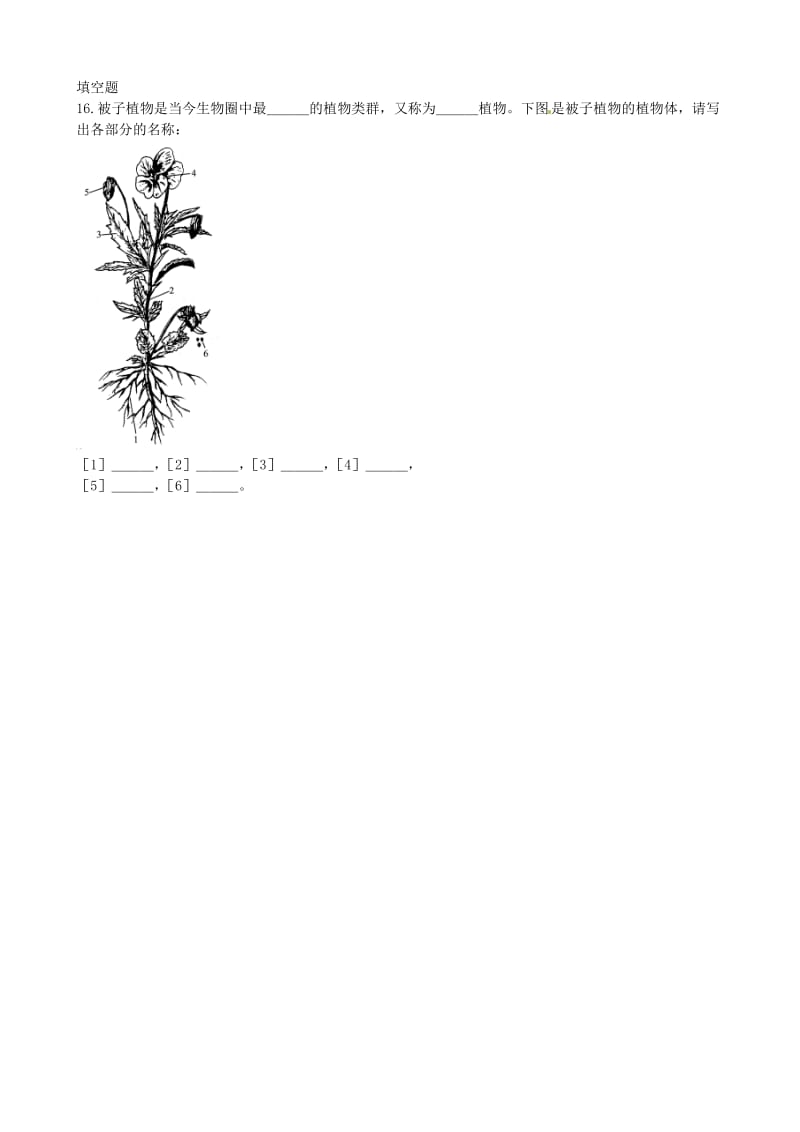 [精选类]山东省德州市夏津实验中学七年级生物上册 第二单元 第一章 第1节《绿色植物的主要类群》练习（无答案） 济南版.doc_第2页