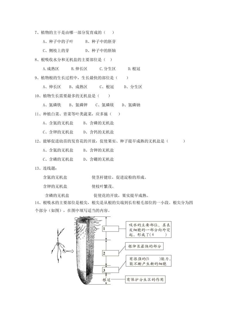 [精选类]七年级生物上册 第二节 植株的生长导学案（无答案） 新人教版.doc_第3页