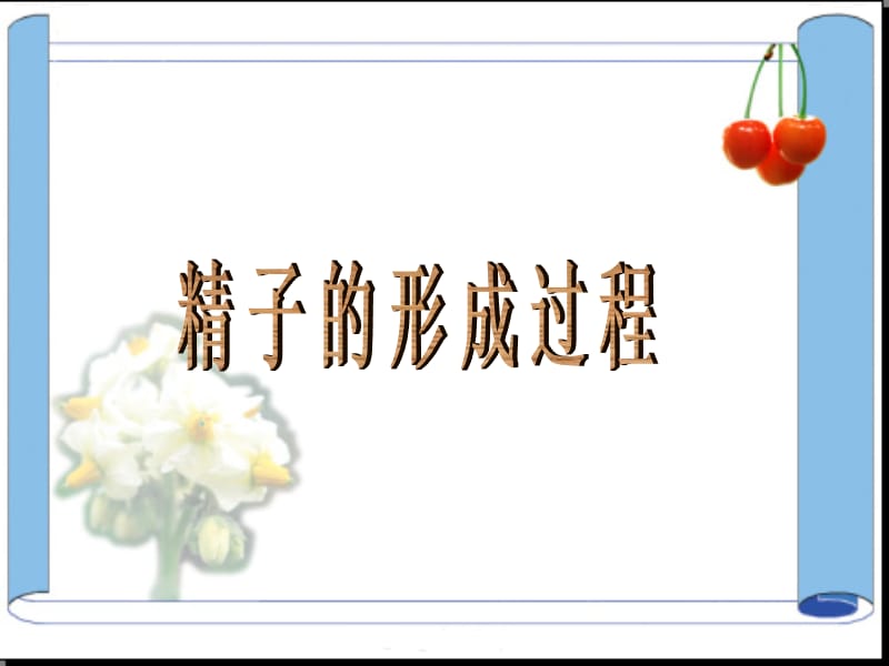 精子的形成过程.ppt_第1页