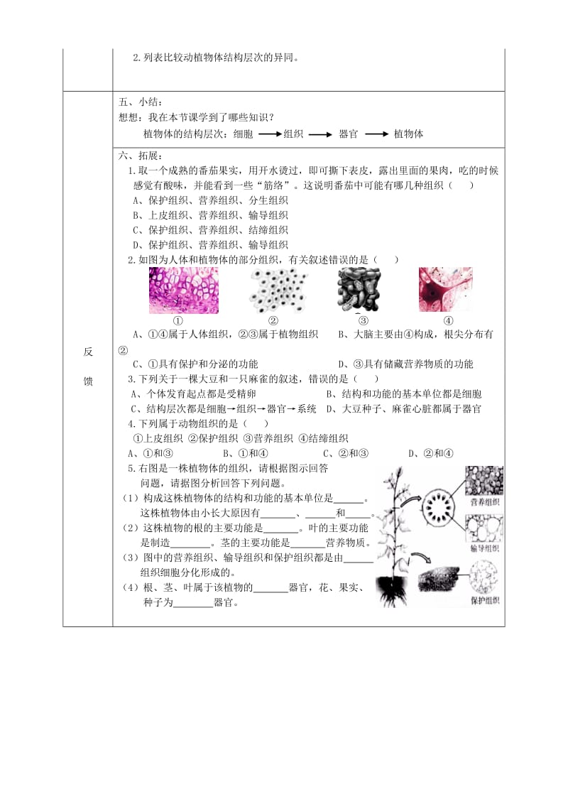 [精选类]202x学年七年级生物上册 2.2.3 植物体的结构层次导学案（无答案）（新版）新人教版.doc_第2页