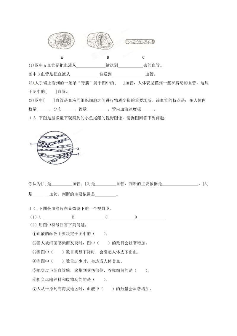 [精选类]内蒙古鄂尔多斯东胜区华研中学七年级生物下册 第四单元 第四章《人体内物质的运输》（第一课时）复习（无答案） 新人教版（通用）.doc_第3页