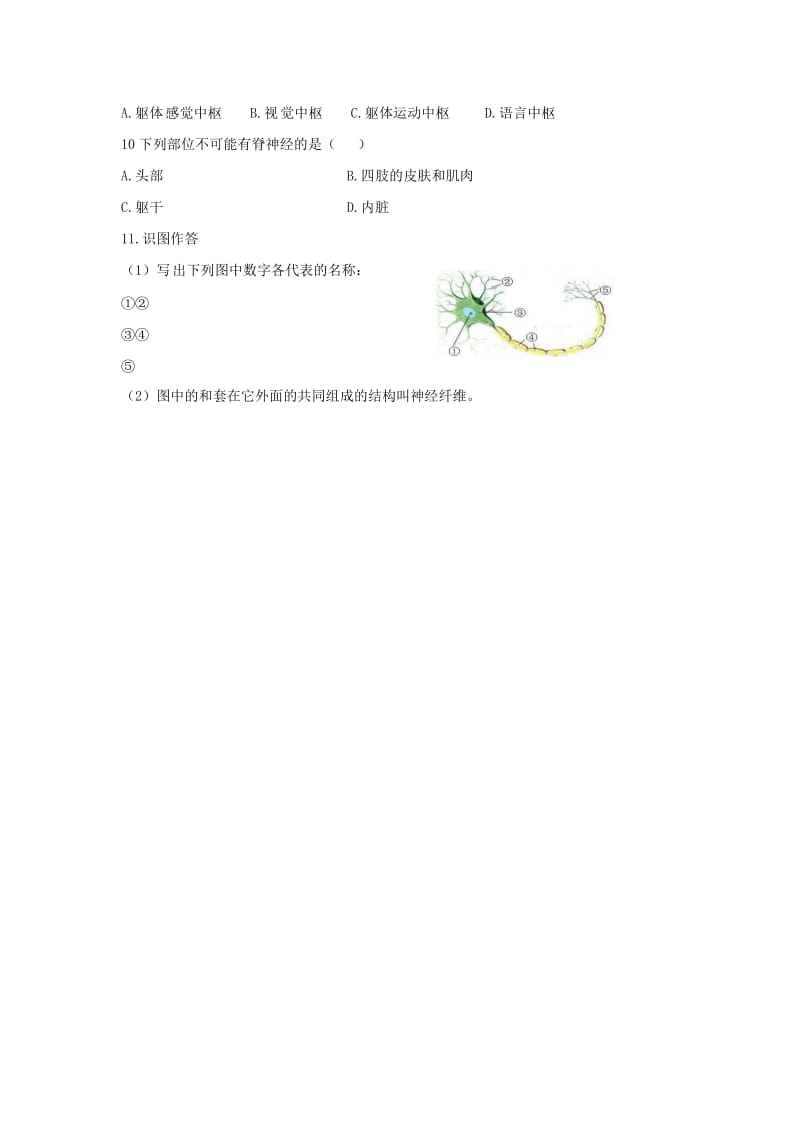 [精选类]七年级生物下册 4.6.2《神经系统的组成》导学案（无答案）（新版）新人教版（通用）.doc_第3页