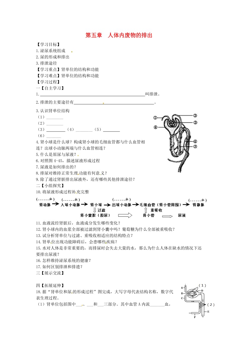 [精选类]202x年春七年级生物下册 第四单元 第五章 人体内废物的排出学案（无答案）（新版）新人教版.doc_第1页