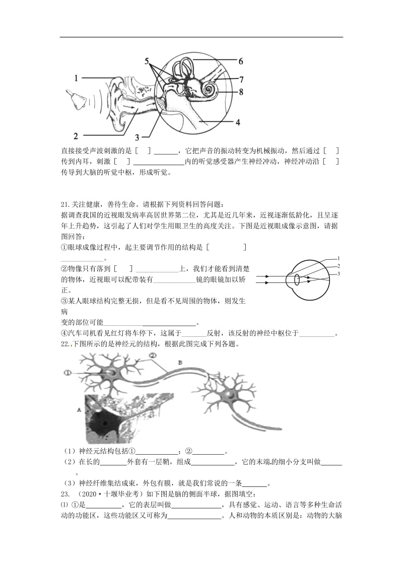 [精选类]七年级生物下册 第五章 人体生命活动的调节练习题（无答案） 济南版.doc_第3页