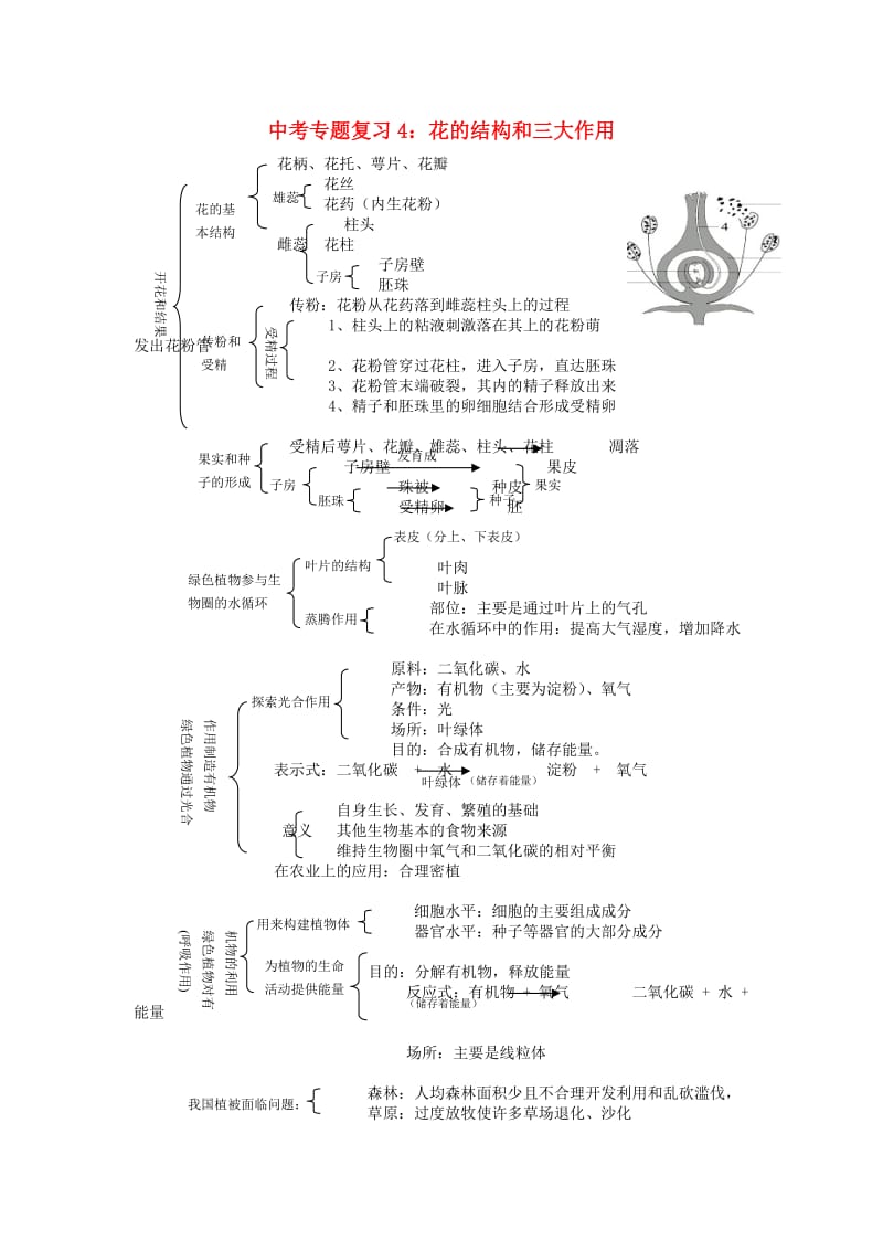 [精选类]中考生物专题复习（四）花的结构和三大作用 人教新课标版.doc_第1页