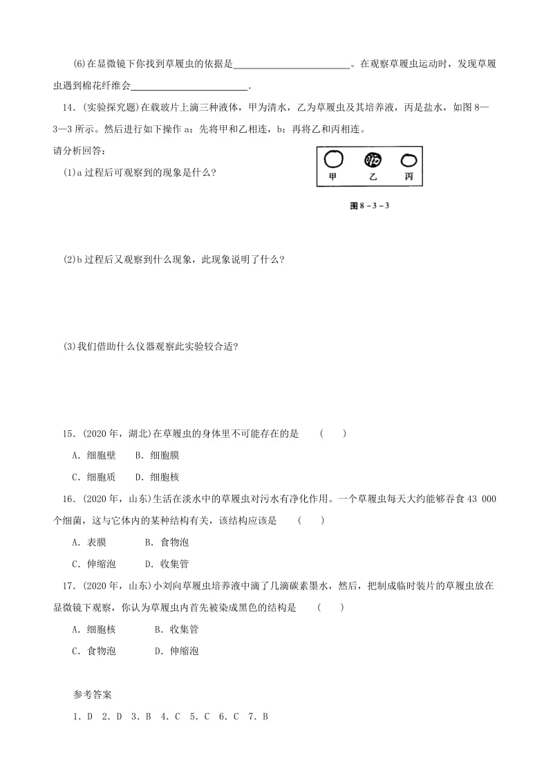 [精选类]七年级生物下册 3.8.3《单细胞的生物体》同步练习 苏科版.doc_第3页