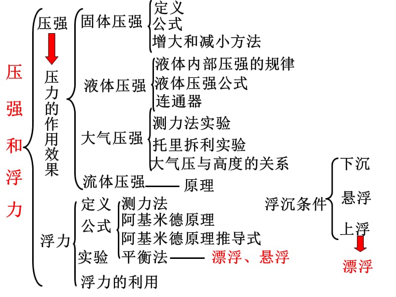 初中物理压力和压强知识点复习.ppt_第1页