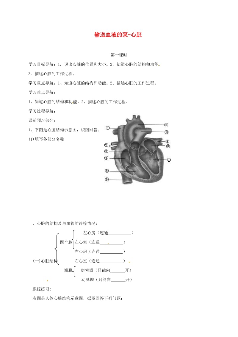 [精选类]天津市宁河区七年级生物下册 4.4.3输送血液的泵-心脏（第1课时）学案（无答案）（新版）新人教版（通用）.doc_第1页