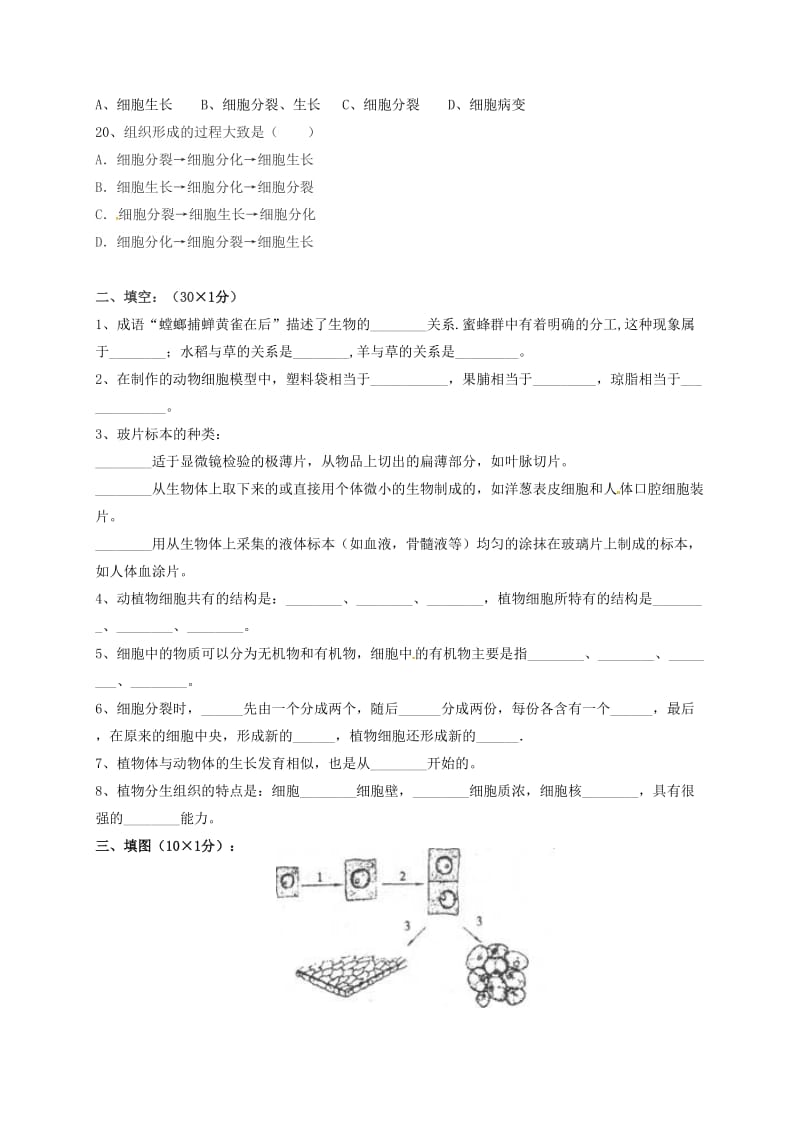 [精选类]吉林省通化市外国语学校202x学年七年级生物上学期期中试题（无答案） 新人教版.doc_第3页