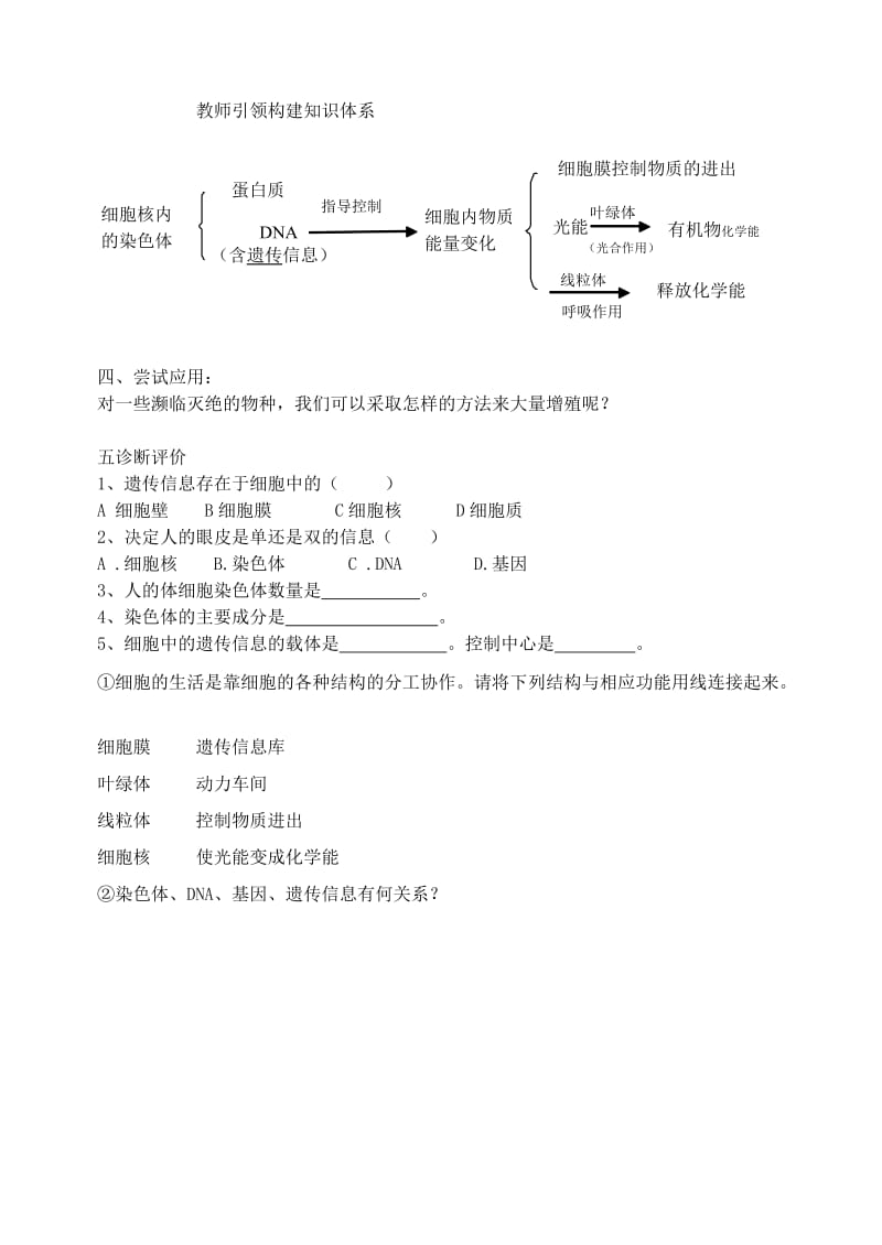 [精选类]七年级生物上册 2.2.2 细胞核是遗传信息库学案（无答案）（新版）新人教版（通用）.doc_第2页