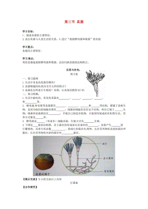 [精选类]八年级生物上册 5.4.3 真菌导学案（无答案）（新版）新人教版.doc