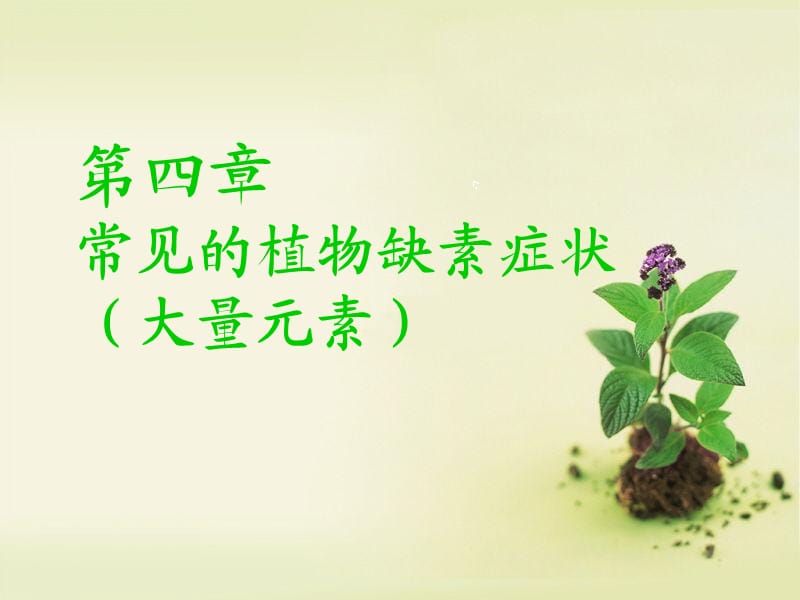 常见的植物缺素症状(大量元素).ppt_第1页