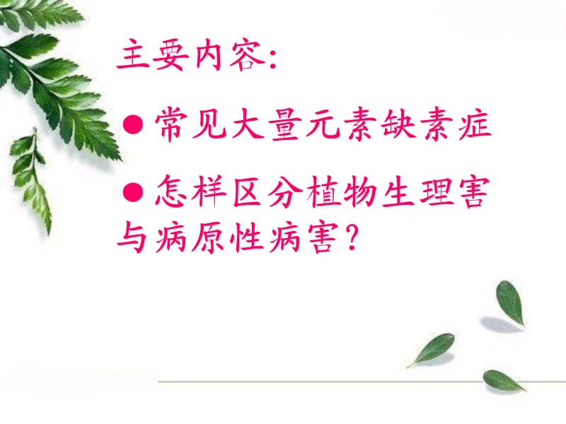 常见的植物缺素症状(大量元素).ppt_第2页