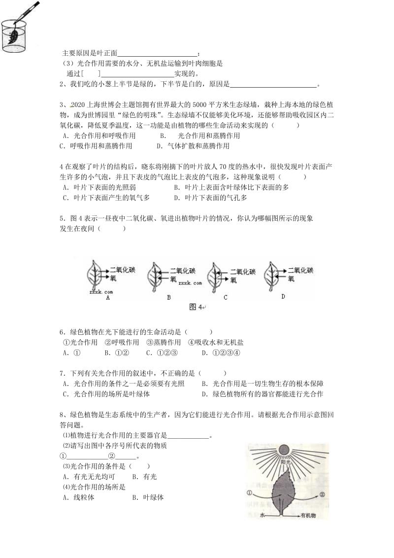 [精选类]七年级生物上册 第6第一二三节绿色植物光合作用导学案（无答案） 苏教版.doc_第2页