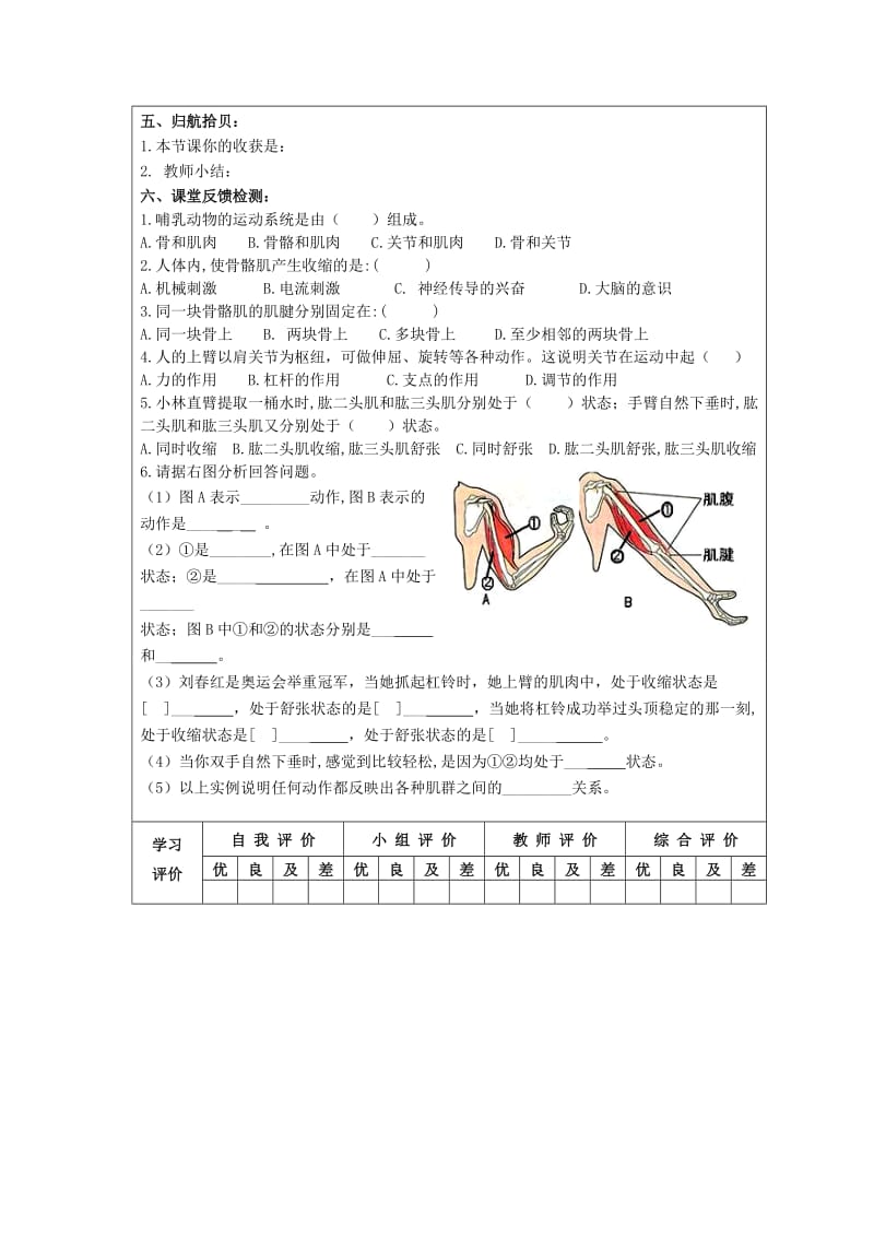 [精选类]八年级生物上册 §5.2.1动物的运动学案 人教新课标版.doc_第2页