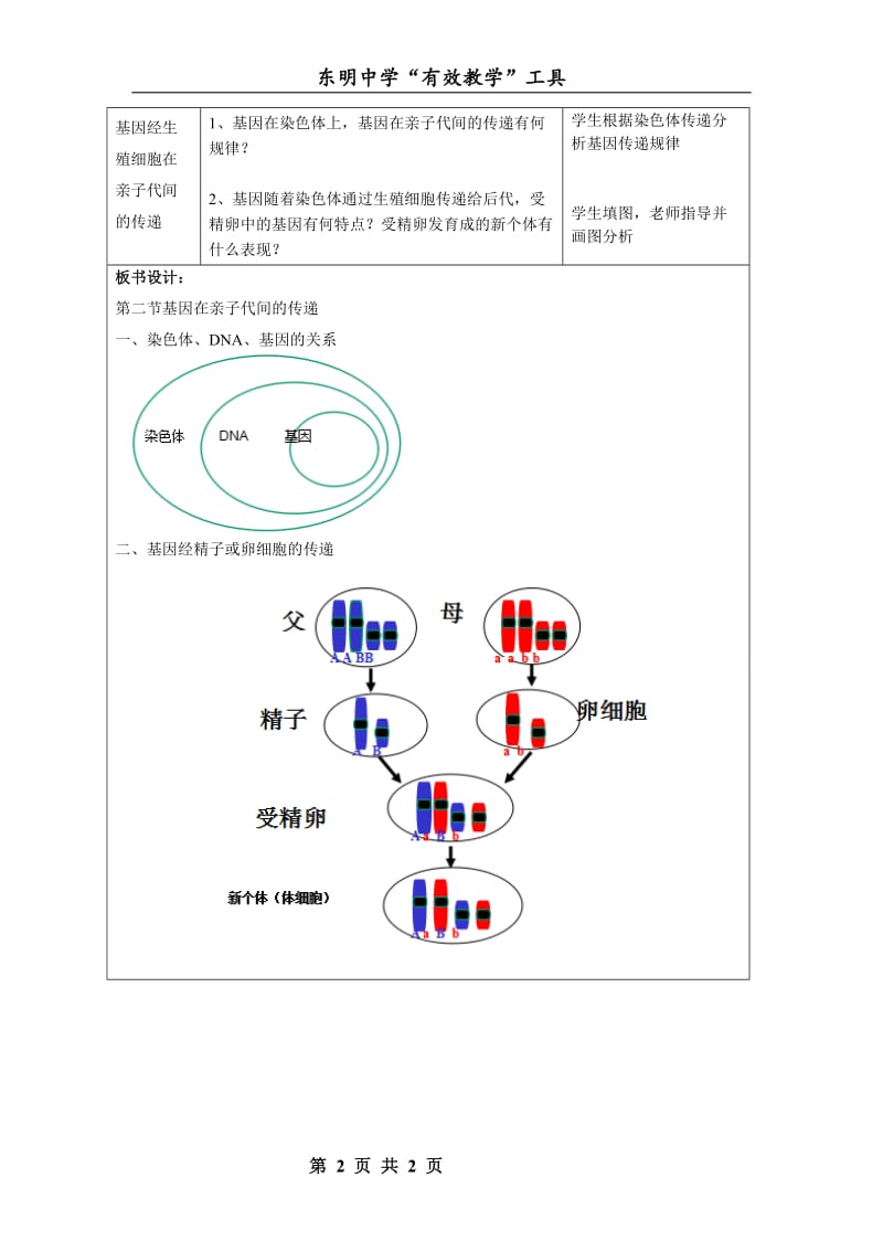 基因在亲子代间的传递导学预案.doc_第2页