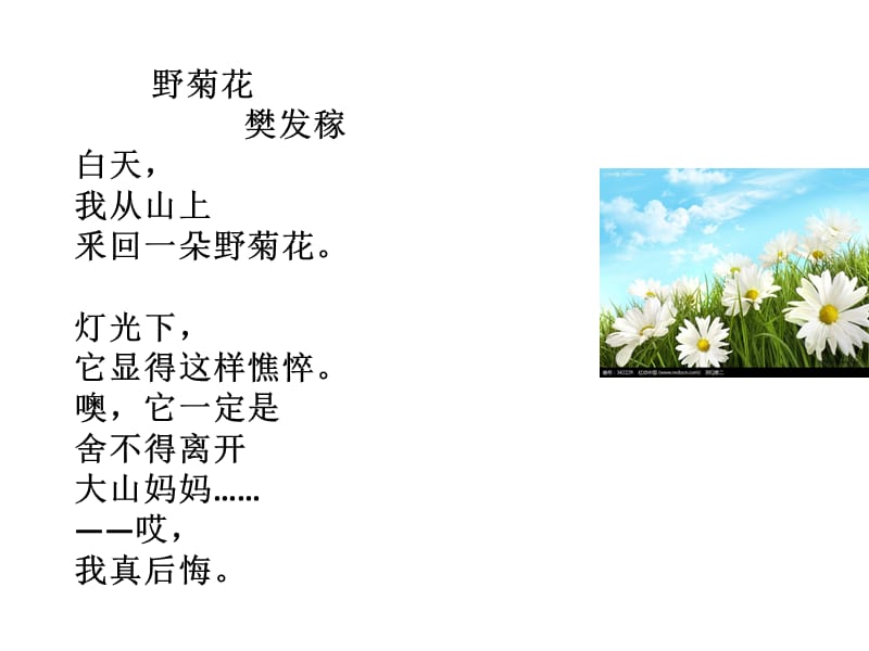 儿童诗__如果我是一片雪花.ppt_第1页