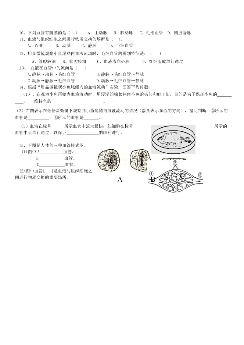 [精选类]山东省肥城市王庄镇初级中学七年级生物下册 4.2 血流的管道血管导学案（无答案） 新人教版.doc_第2页