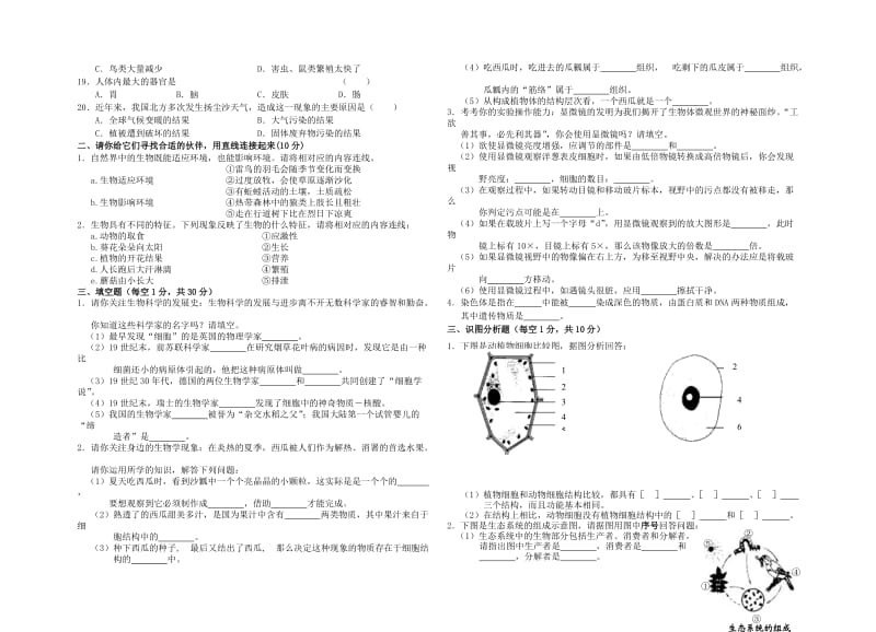 [精选类]七年级生物上册期中测试题 人教新课标版（通用）.doc_第2页