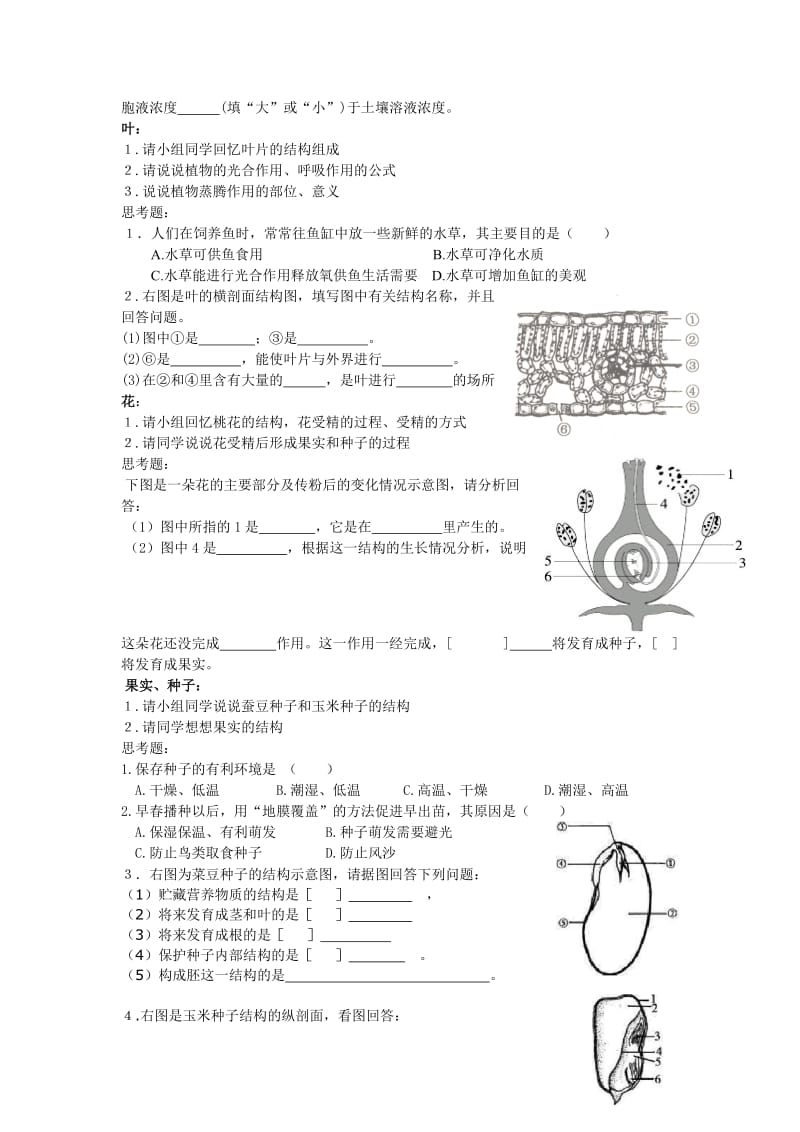 [精选类]八年级生物会考复习专题一 植物的一生(无答案) 苏教版.doc_第2页