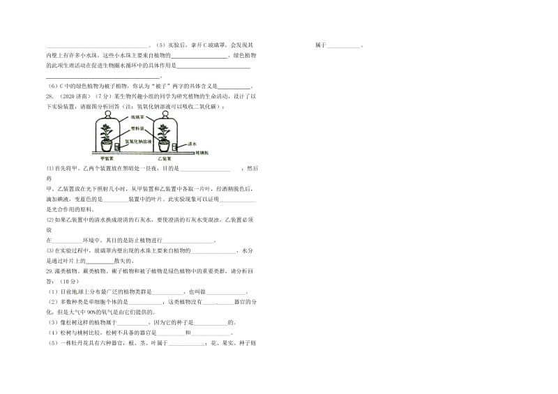 [精选类]山东省武城县第二中学七年级生物上册 第二单元 第一章 生物圈中的绿色植物复习练习（无答案）（新版）济南版.doc_第3页