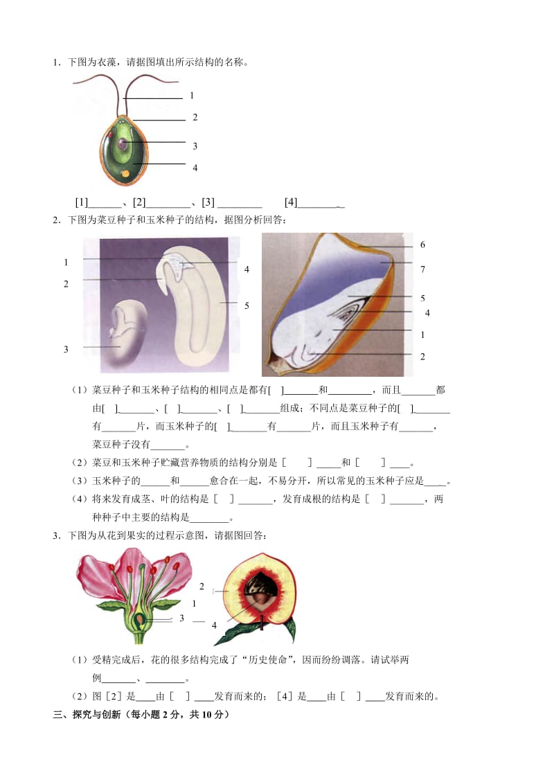 [精选类]七年级生物第三单元(第一、二章)测试题 新课标 人教版.doc_第3页