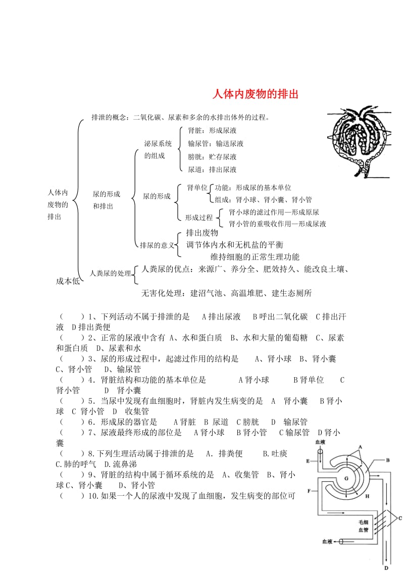 [精选类]202x中考生物 人体内废物的排出同步测试（无答案）.doc_第1页