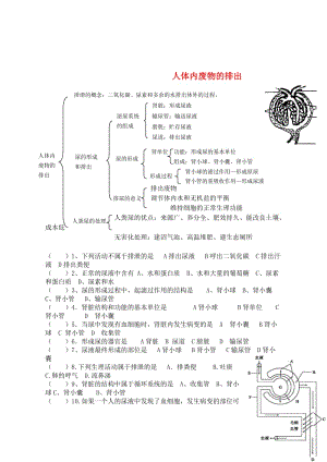 [精选类]202x中考生物 人体内废物的排出同步测试（无答案）.doc