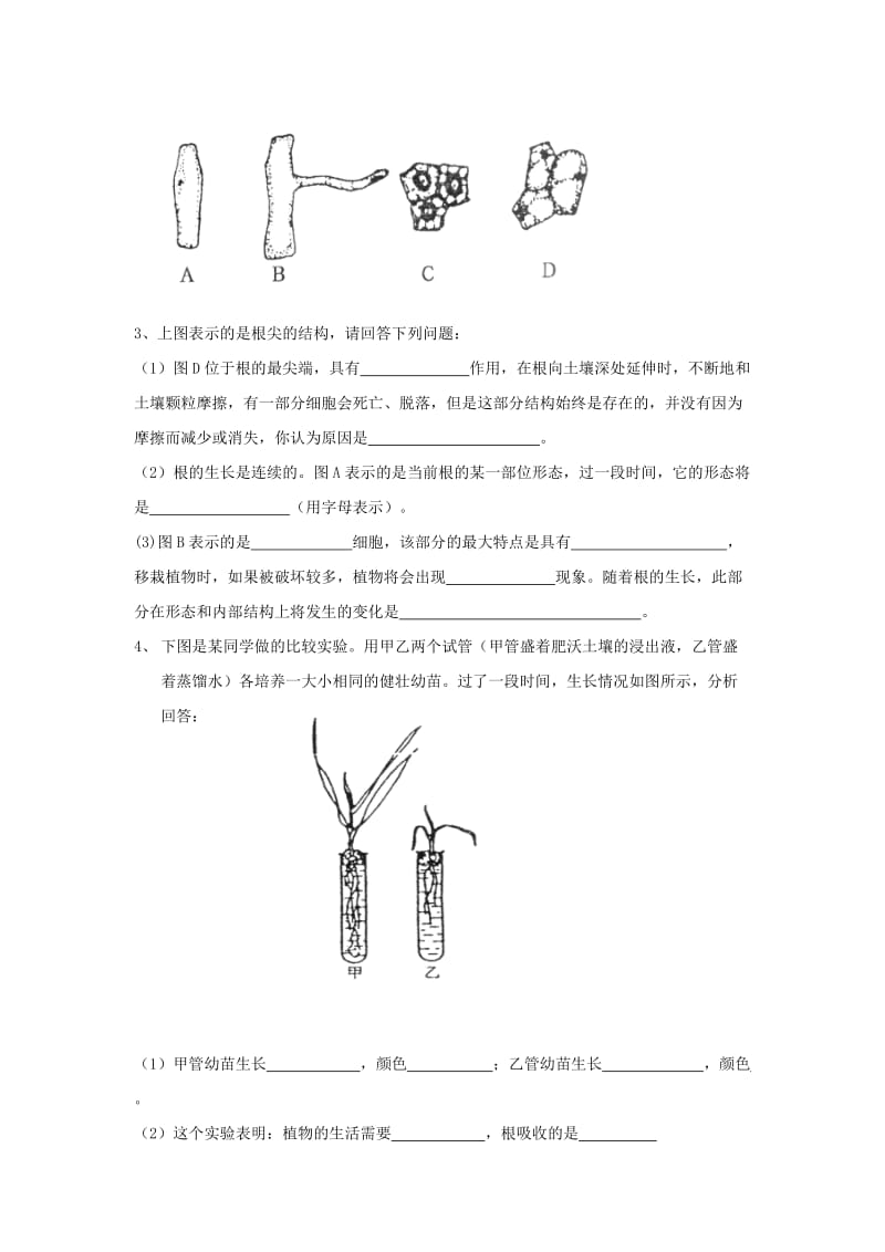 [精选类]八年级生物上册 1.5根的结构和功能导学案（无答案） 济南版.doc_第3页