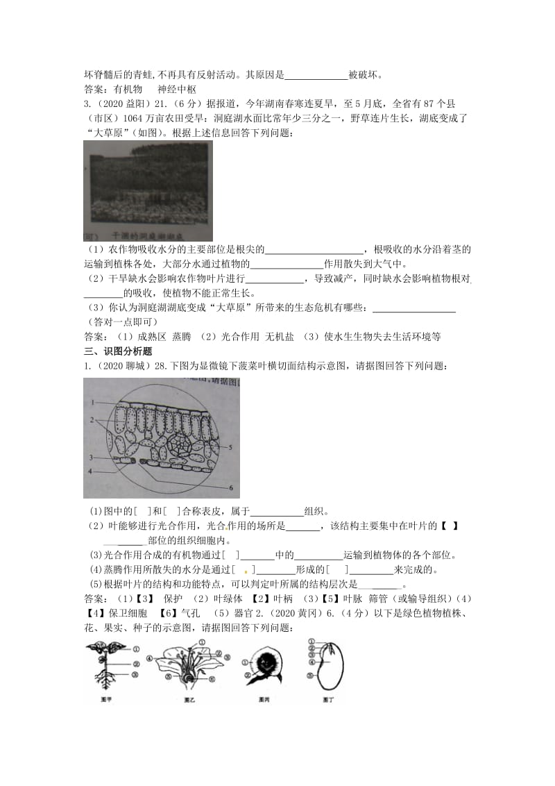 [精选类]【9月最新版】202x年全国各地中考生物试题分类汇编考点 32 植物的生长.doc_第3页